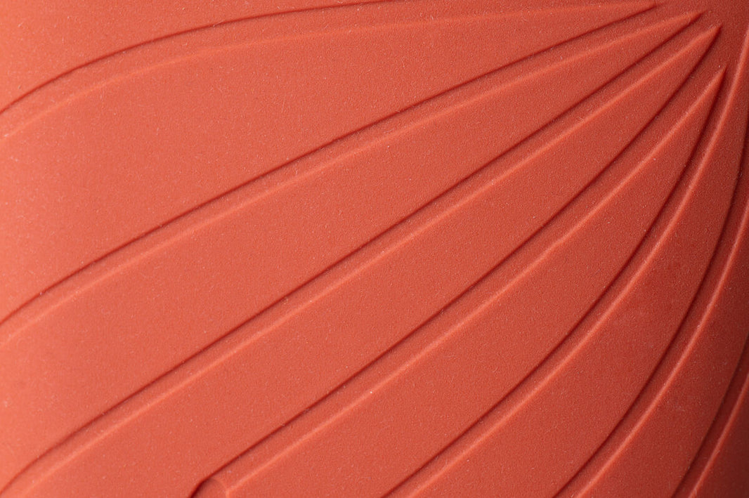 Ranidae orange