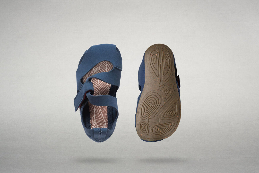 Feder blue