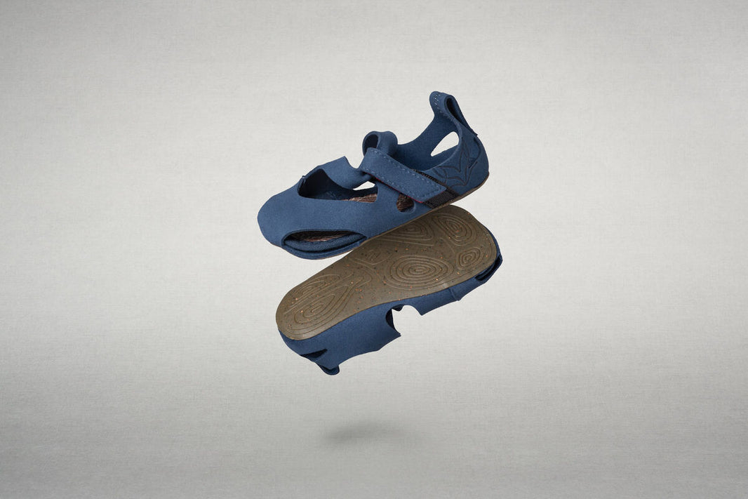 Feder blue