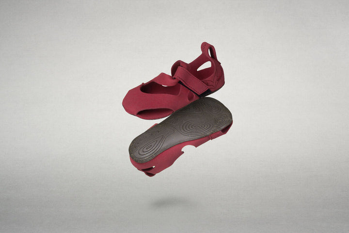Feder fuchsia