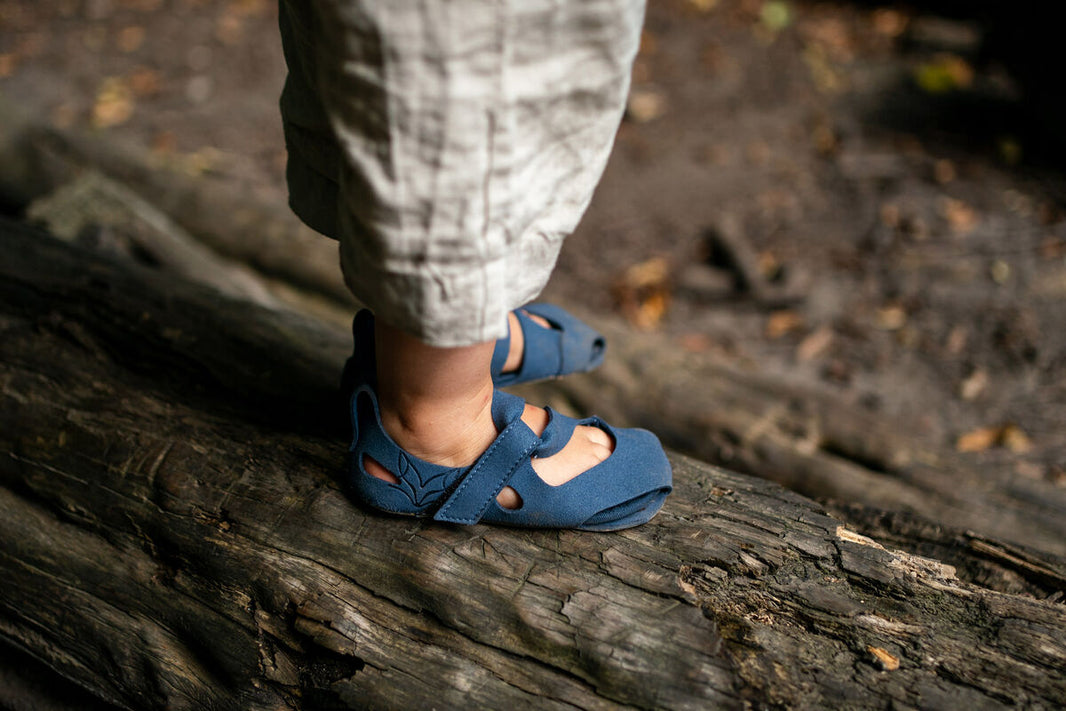 Feder blue