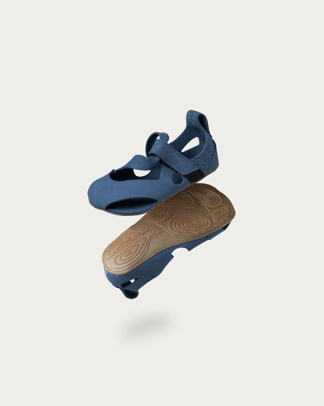 Feder blue