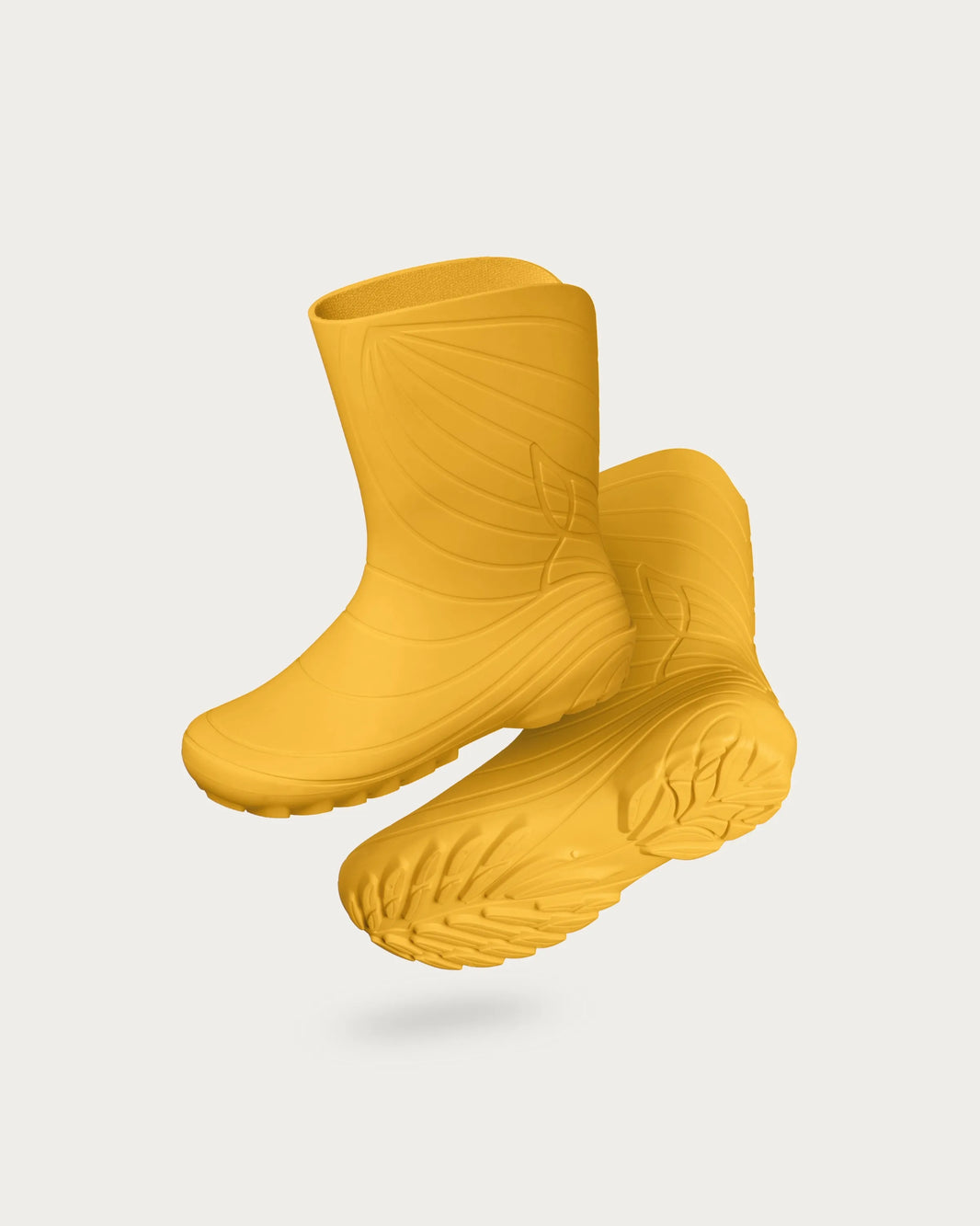 Ranidae yellow